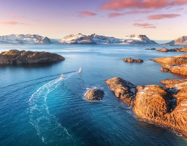 Biodiversity and Ecosystem Interplay